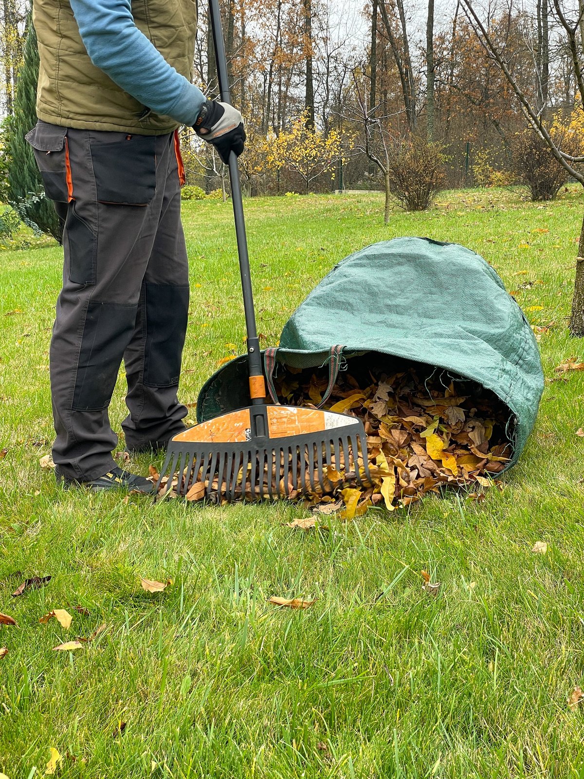 Person gathers fallen autumn leaves with a garden rake beside a large green collection bag on the lawn